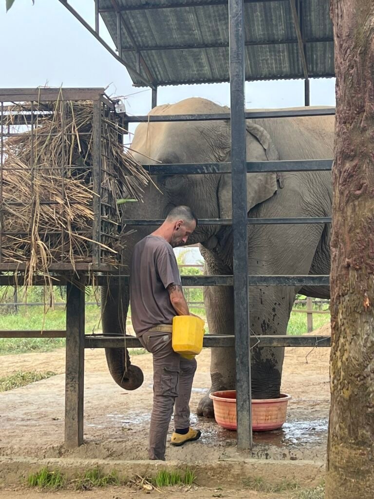 Michael et Eva, premier sauvetage du sanctuaire
